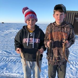 Meet your Posher, Ethan